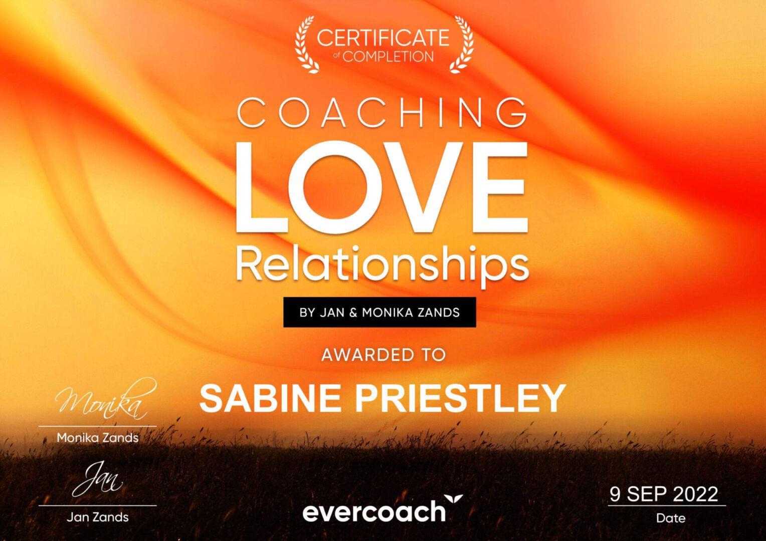 Love coaching certification